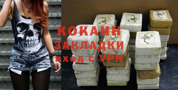 молекула духа Мегион