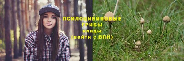 мескалин Баксан