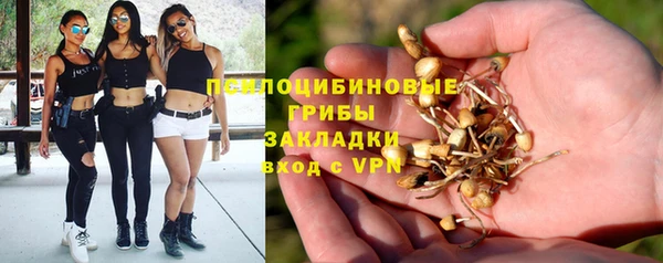 jwh Медвежьегорск