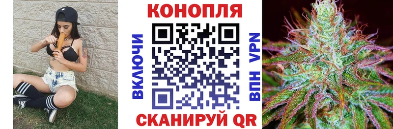 Бошки марихуана планчик  наркошоп  Билибино 